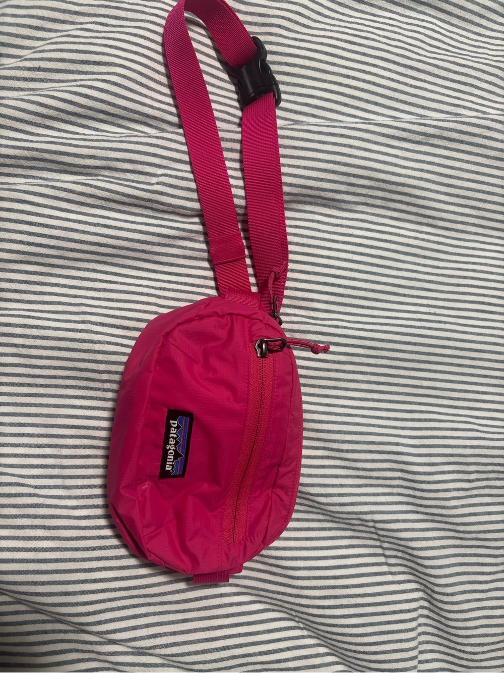 Patagonia Terravia Mini Hip Pack 1L